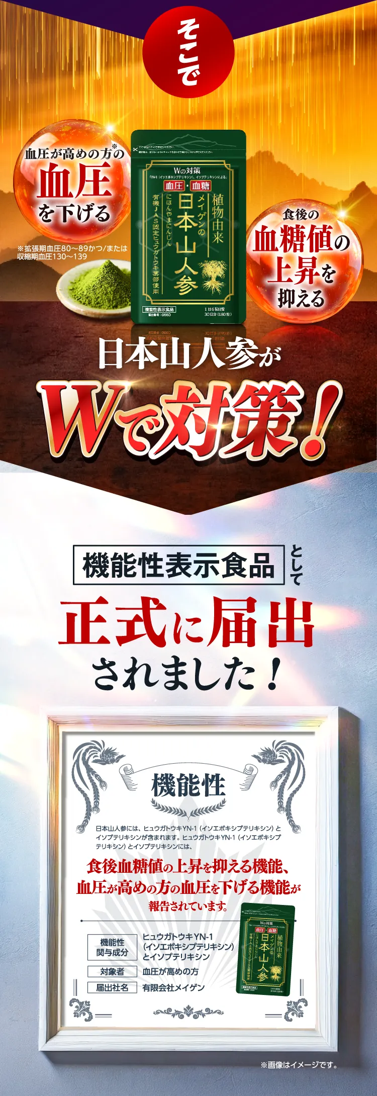 公式】日本山人参 | 血圧が高めの方の血圧を下げ、食後血糖値の上昇を